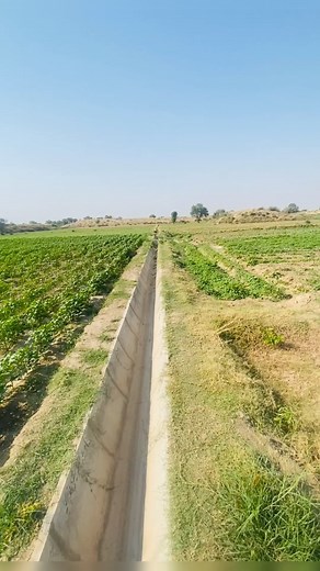 648K views · 10K reactions | Kissan bhai key kam dikhen  #farming #agriculture | Hum Kissan Hamara Pakistan2 | Facebook