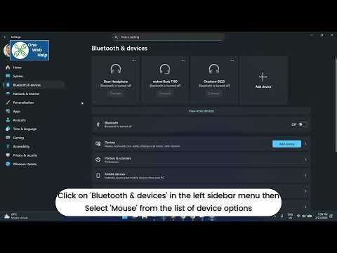 How to Change the Primary Mouse Button in Windows 11 - Complete Guide By OneWebHelp.com