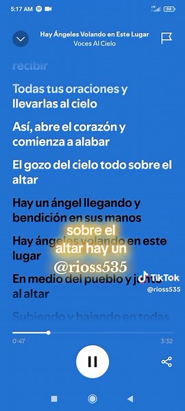 Hay Ángeles Volando En Este Lugar - Voces Al Cielo #alabanzacatolica #videoconletra #spotify