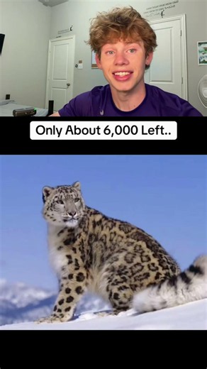 Animals that will be extinct in the next couple of years 🤯