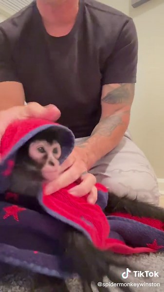 Spider Monkey Bath Time Fun | Bathroom Grooming Routine