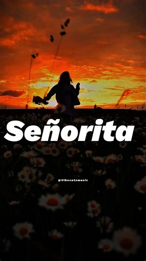 Señorita (I love it when you call me señorita) - Shawn Mendes & Camila Cabello | lyrics | aesthetic