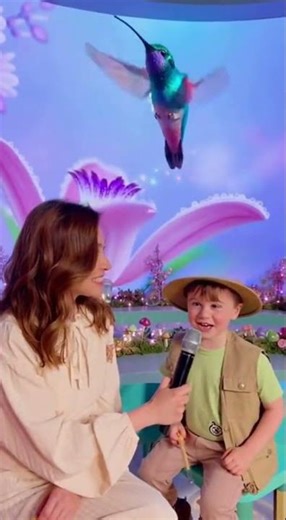 Which is the smallest bird in the world?” | The Smallest Bird in the World | Baby Knowledge Network