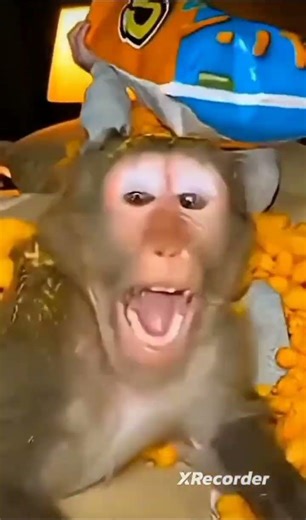 yo estaba a las 3 de la mañana