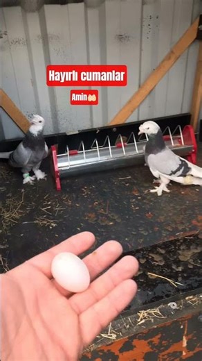 Have a blessed and prosperous Friday! 🤲🏻 #explore #explore #explore