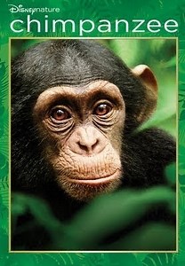 Disneynature Chimpanzee