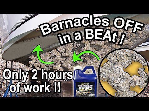 Barnacle removal from boat - dissolving the Barnacles with Starbrite Acid for a smooth shiny hull !!