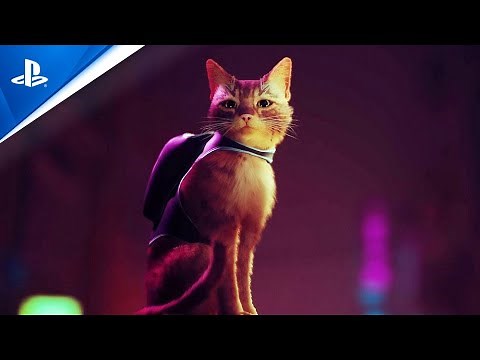 Stray | Gameplay Walkthrough | PS5, PS4