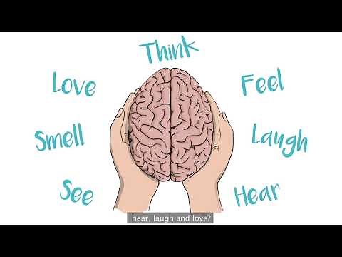 Discovering how the brain gives rise to behaviour