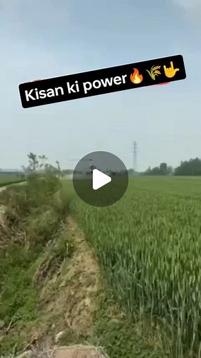 Bharat Prajapat (800)k on Instagram: "👉Kesi🚁lagi🌾farming😱✌🏻 ❤️💥❤️💥❤️💥❤️💥❤️💥❤️💥 #farming #farmer #kisan #helicopter #trending #helinox #tractorloverzz❤️ #kisanelifestyle #kisanektajindabad #kisaan #farmerlifestyle #farmerslife #farmers #khet #khetibadi🌱🌾 #kheti #insta #instagramreels"