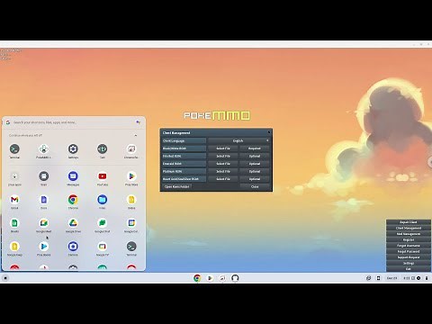 How to install the PokeMMO with Java 17 on a Chromebook