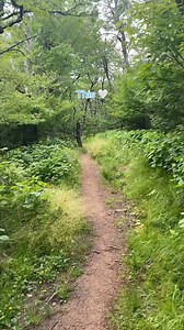 844 reactions · 118 shares | What's the big deal about Beech? We'll show you  | Beech Mountain | Facebook