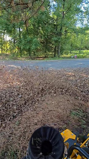 Are you raking those leaves? Burning them? Mulching them? How do you plan on getting rid of those LEAVES this Fall? #poplarbluff #lawncare #leafcleanup #leafremoval | GrassMaster Lawn Service | Facebook