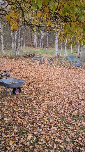 Exploding target. Air rifle.