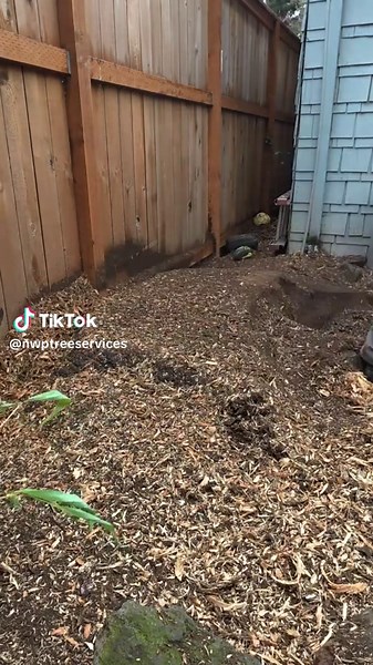 nwpremiertreeservices on TikTok