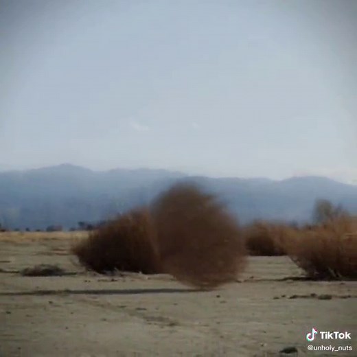 Tumbleweed Edits and High Quality Video Compilation