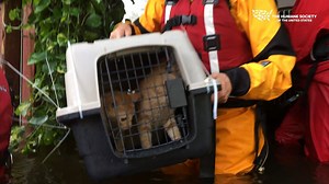 4.9K views · 188 reactions | This month, we’re giving you a behind...