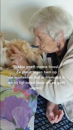 "Robotkat Dikkie geeft mama troost"