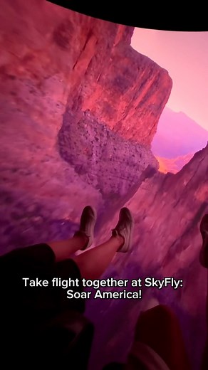 1.8K views · 21 reactions | Experience the magic of soaring over America’s most breathtaking landmarks from mountain peaks to rushing waterfalls! #FamilyFun #FamilyTime #TheIslandPF #SiblingActivities #PigeonForge | SkyFly: Soar America | Facebook