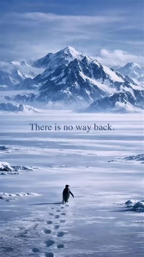 Click the bottom left corner to create a same-style Penguin journey towards the mountains live wallpaper.penguin live wallpaper. penguin mountain 4k wallpaper #capcut #capcutforus #capcutpioneer#penguin#mountain Penguin journey towards the mountains live wallpaper tutorial wallpaper How to set up iPhone wallpaper tutorial How to apply iPhone live wallpaper live wallpaper wallpaper iPhone wallpaper 8K wallpaper spatial wallpaper live wallpaper special wallpaper ios 26 spatial wallpaper ios26 spat