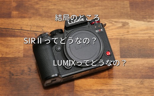 1年使用して　結局のところS1RⅡってどうなの？LUMIXってどうなの？ - ぷいろぐ