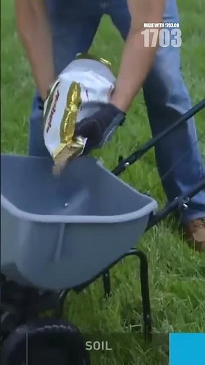 Revive Your Lawn: Simple Steps for Lush Grass