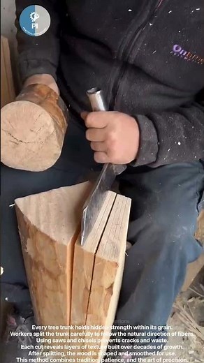 #diyprojects #tools #explore Splitting trees trunk: DIY tools.
