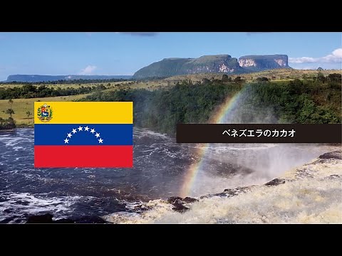 原産地映像：ベネズエラ