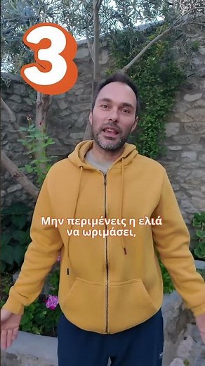 Συγκομιδή Ελιάς: 3 "Χρυσά" Tips για το Σωστό Μάζεμα