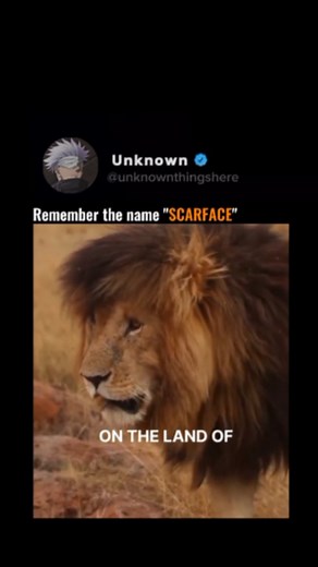 4.7K views · 71 reactions | Scarface was one of the most famous and...