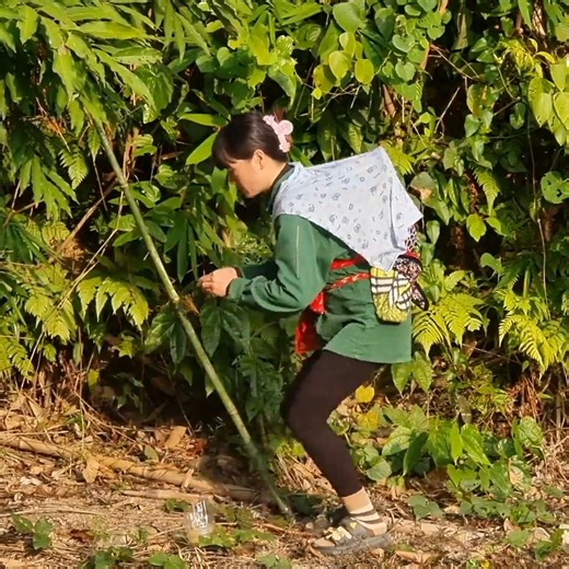 Giant perch and delicious grilled fish from mother's hands | CTV8