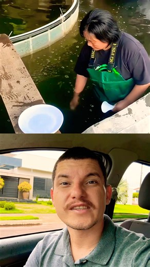 Quantos peixes tem nessa concha? #fishing #fish