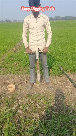 Tiwari Krishna on Instagram: "A simple and traditional method to install bamboo fencing using a manual digger. Perfect for Indian farmers looking for low-cost farm protection. #FarmFencing #BambooFence #ManualDigger #DesiJugaad #IndianFarmer #VillageLife #SmartFarming #AgriShorts #KisanTools #FarmingReels"