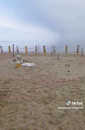 Lifeguard Duty: Protecting Youth on New Year's Day