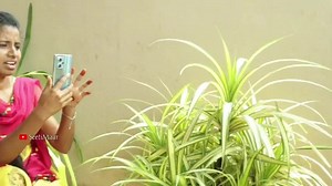 حسابات مقترحة