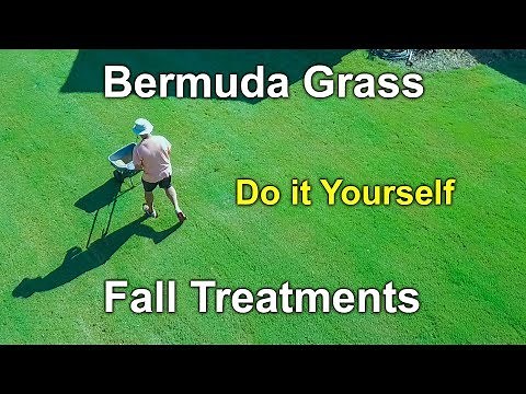 Bermuda Grass Fall Treatments and Care