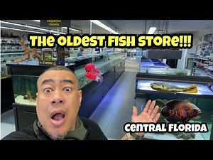 LOCAL FISH STORE has the BEST TROPICAL FISH *AQUARIUM STORE TOUR*