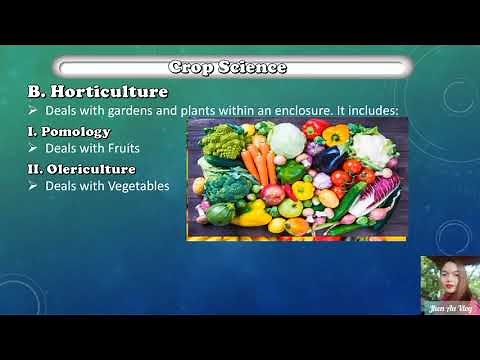Unit 1 Agriculture and Crop Science|Agriculturist Licensure Examination|Review for CROP SCIENCE