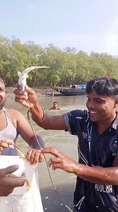 605K views · 10K reactions | Hand fishing in dublarcor, sundorbon . . . . #fishingentertainmentbd #handfishing #sundorbon #fishcatching #সুন্দরবন #reelsvideo #Fish #NetFishing #bdfishing #fish #reels #trendingfishing #trendingreels #reelsfb #viralreels #fishingreels #netfishing | Fishing Entertainment BD | Facebook