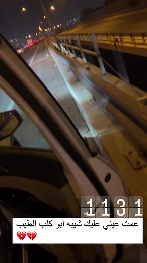 Urban Night Drive: Exploring City Lights and Bridges