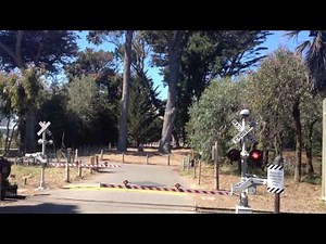 Railroad crossing SF Zoo