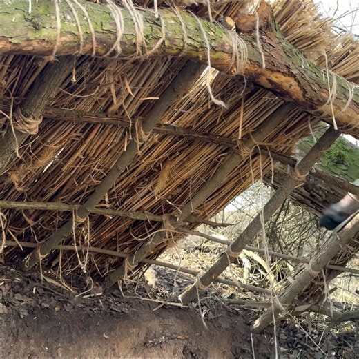 196K views · 1.1K reactions | Building a Clay Shelter Under a Tree to Survive Among Wild Boars - Part 1 Cre:@botanik6140 #bushcraft #survival #shelter #dugout #shelter #camping #outdoor #living #asmr #cozy #fireplace #winter #winter #solo | Garden Mind | Facebook