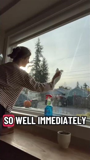 Bounty Paper Towels - Bounty Quick-Size Paper Towels