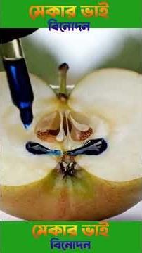 AI Technology Exposed_ From Apple Trees to #automobile #factoryprocess 2026