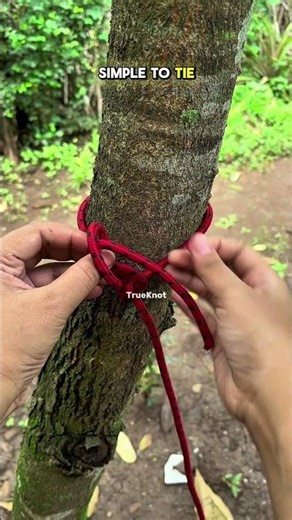 Really Perfect knot 💯 #knot #knottying #shortvideo