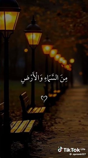 ٢٨ يناير، ٢٠٢٦