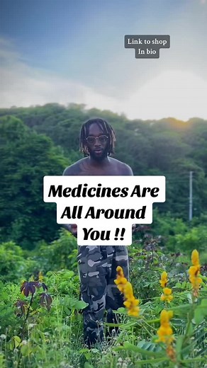 Unlocking Nature's Medicine Cabinet: Plant Remedies You Need to Know