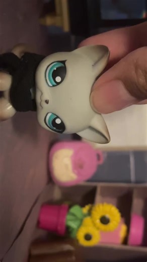 back to lps videos…! Terrible quality but not bad for my first one in A LONG TIMEEEEEE #lps #littlestpetshop #fyp #foryoupage #foryourpage