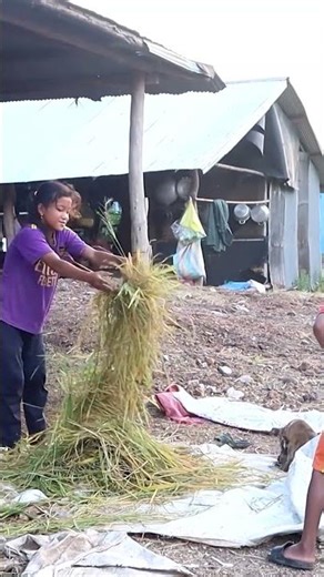 Real Rural Life in Cambodia [ Khmer rural post ] #khmerruralpost