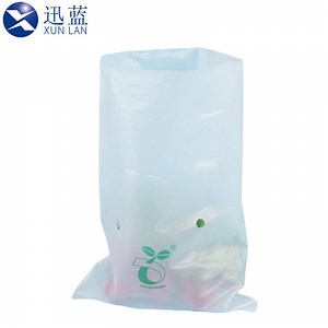 [Hot Item] Degradable Plastic Bags Compostable Fully Biodegradable PLA Bags